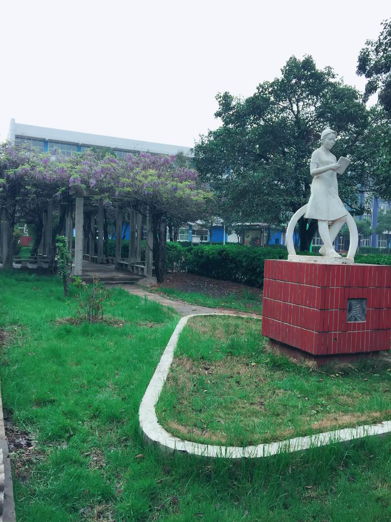 小花园